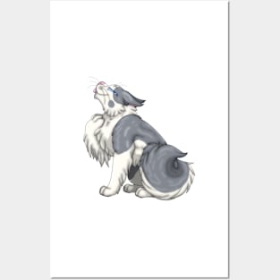 Grey Bicolor Longhair Posters and Art